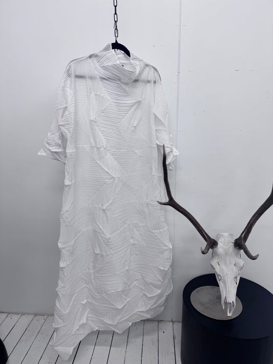 Pleated Tunic / Dress