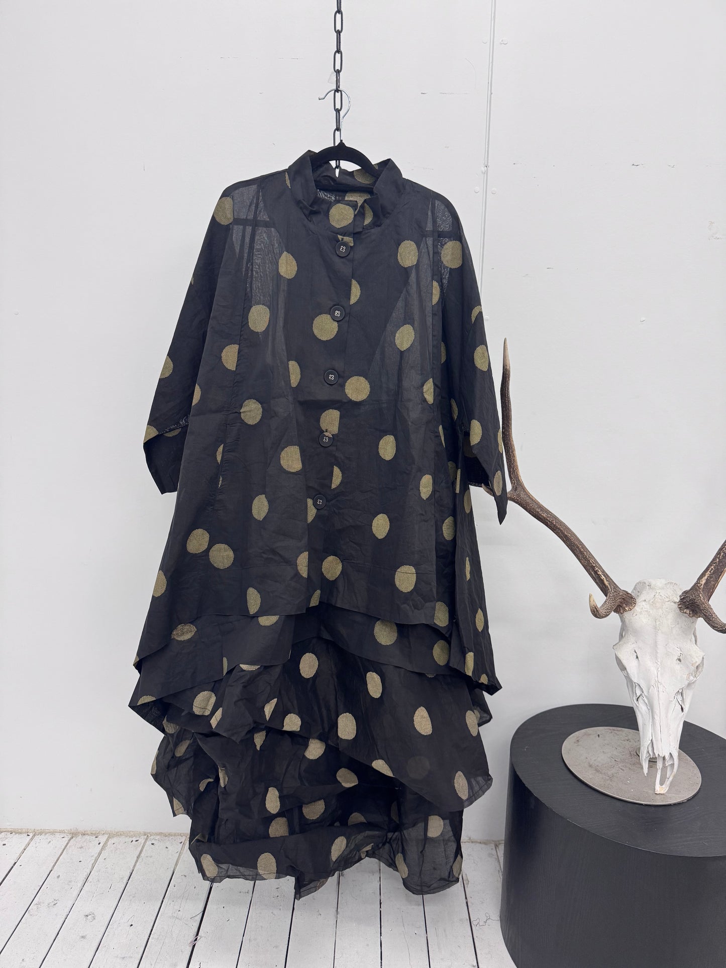 Dogstar " Dotto " Duster