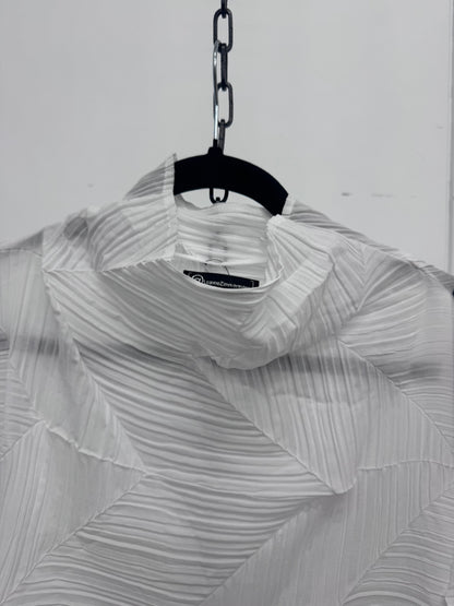 Pleated Tunic / Dress