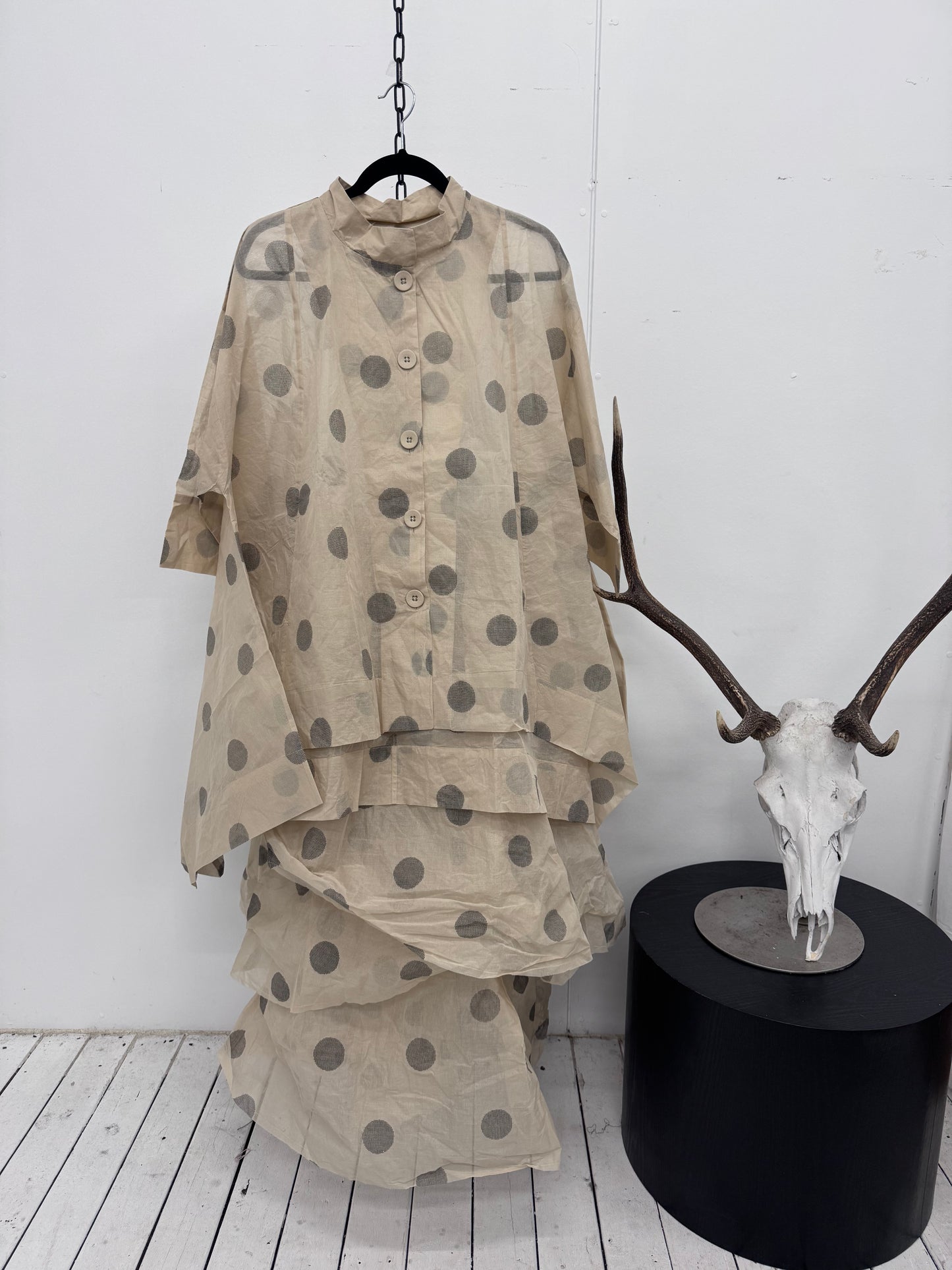 Dogstar " Dotto " Duster